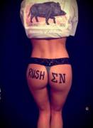 University Of Arkansas