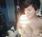 Overwatch &Amp;Amp;Amp; Cats