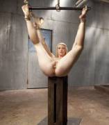 Presented In A Pedestal