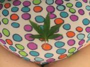 Just Got Done Harvesting[F]