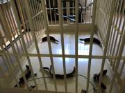 The Cage Is Ready For It's Slave. It's Going To Be A Long Day.