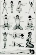 Found This. Anyone Have More Sub/Slave Pose Charts?