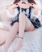 This Kitten Is Ready To Play