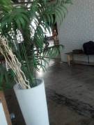 Actual Bts Snaps From Sydney Leathers' First Shoot.