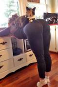 Cat On That Booty