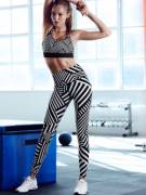 Black And White Stripes