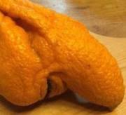 Cock And Balls And..mouth?!