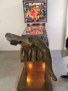 Coin Slit (Xpost From R/Pinball)