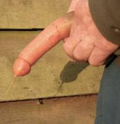 Some Say Nsfw. I Say It's A Carrot. You Decide...