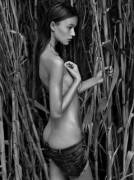 Janička Lost In The Cane-Field