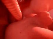 [Solo] I Wish There Was A Girl With A Strapon Nearby