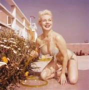 Just A *Little* Racier Than Your Average 50S Pin Up...