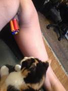 Pussy Watching Pussy. How Does It Fit.