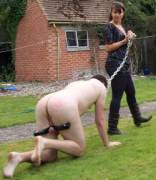 Crawl A Little Faster, Pet.