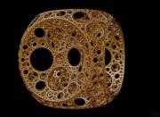 [F]Olding Into Myself