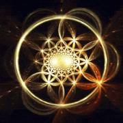 [Q]Uantum Calibration