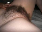 I Can Haz All The Fur??