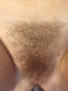 Hairy Patch...
