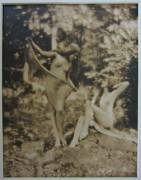 &Amp;Quot;Nudes In Griffith Park&Amp;Quot; Photographed By Edwin Bower Hesser (C.1921)