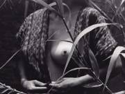 &Amp;Quot;Fruta Prohibida (Forbidden Fruit)&Amp;Quot; Photographed By Manuel Álvarez ...