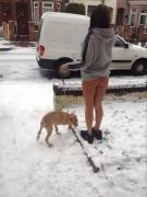 It's Beginning To Look A Lot Like Christmas