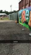 Middle Of A Set Festival Piss