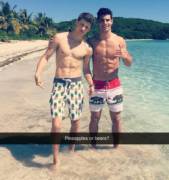 Pineapples Or Bears?