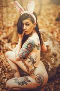 Tatted Bunny