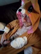 Happy National Puppy Day! Who Wants To Collar This Pup Up And Give Him A Bone? ;3