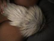 [F]Irst -Time Poster ~ &Amp;Amp;Gt;^..^&Amp;Amp;Lt; ~ &Amp;Amp;Lt;3