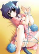 Playing With Yarn Gone Right