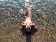 Re(F)Lecting Sunlight @ The Sea