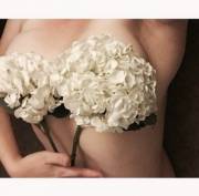 How Free It Is, You Have No Idea How Free