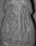 A Variety Of Textures. [M]