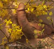 Seasonal Woodland Flowers [M]