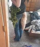 Dark Purple Lipstick, A Cream Tail, And My Gator. It's Been A Relaxing Day.