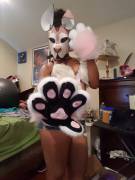 Pause For My Paws, You'll Applause :P