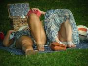 Anyone For A Picnic?