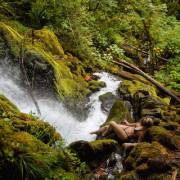 Lounging In The Woods