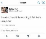 I Wish We Had Photographic Evidence Of Bailey's Morning Wood Today!