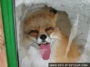 She Gets Her Tongue All Up In That.