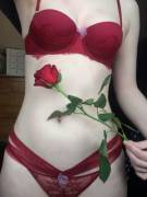 My Boyfriend Bought Me Some Lovely Roses