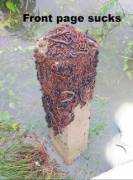 I Saw This On R/Pics And Got A Little Excited