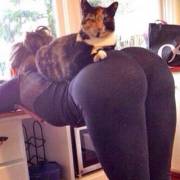 Go Ahead, I Dare You.