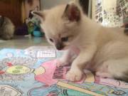 I Was Attacked While Coloring