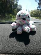 Found The Cutest Little Guy At A Market Stall!