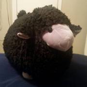 Say Hello To Terrance. Daddy Bought Him For Me To Cuddles When I Sleep Over. He's ...