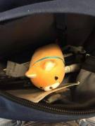 Sometimes If I Have An Important Test At College I'll Bring My Smallest Stuffie Along. ...