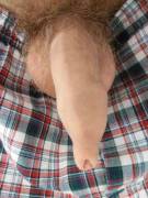 Anybody Care To Nibble My Wiggly Snout?