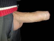 What You Just Might Find Prowling In The Night